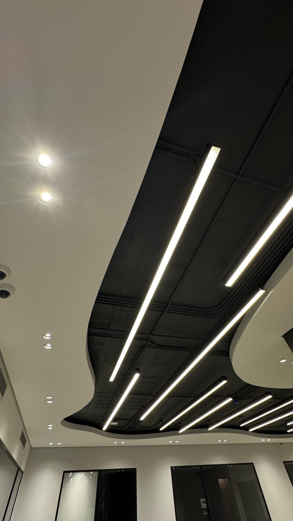 The curved ceiling and its light lines.