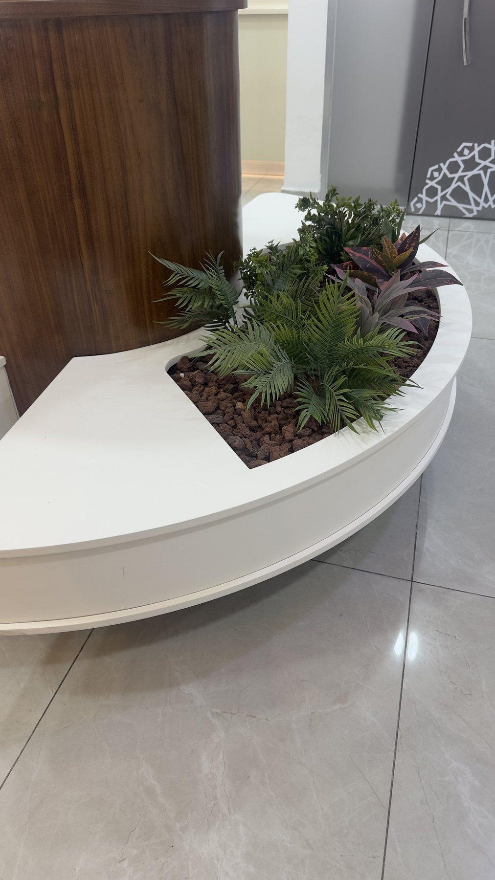 Curved white reception counter with a wood panel and a planter inside.
