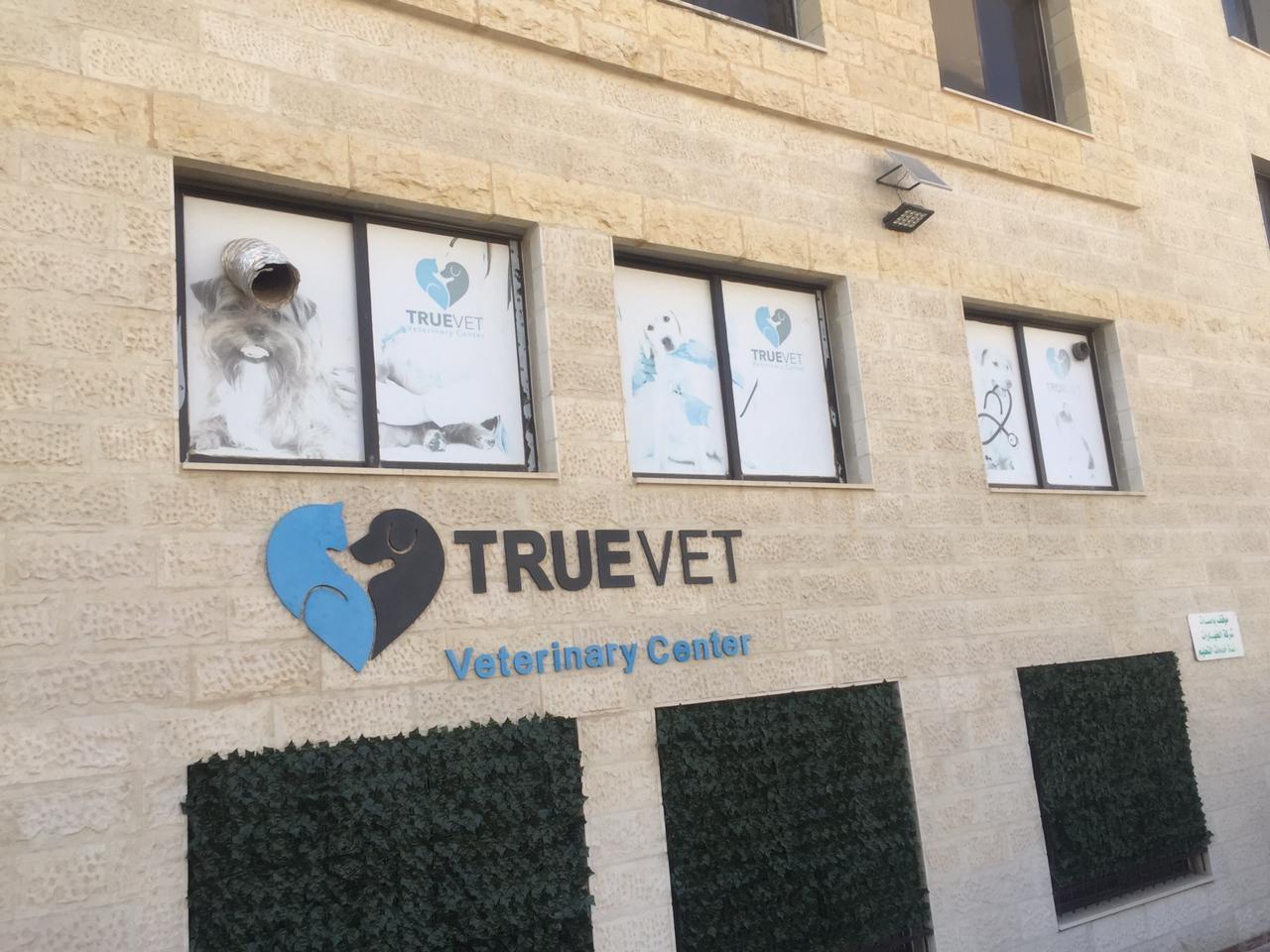 Dimensional logo and wordmark on a stone building facade