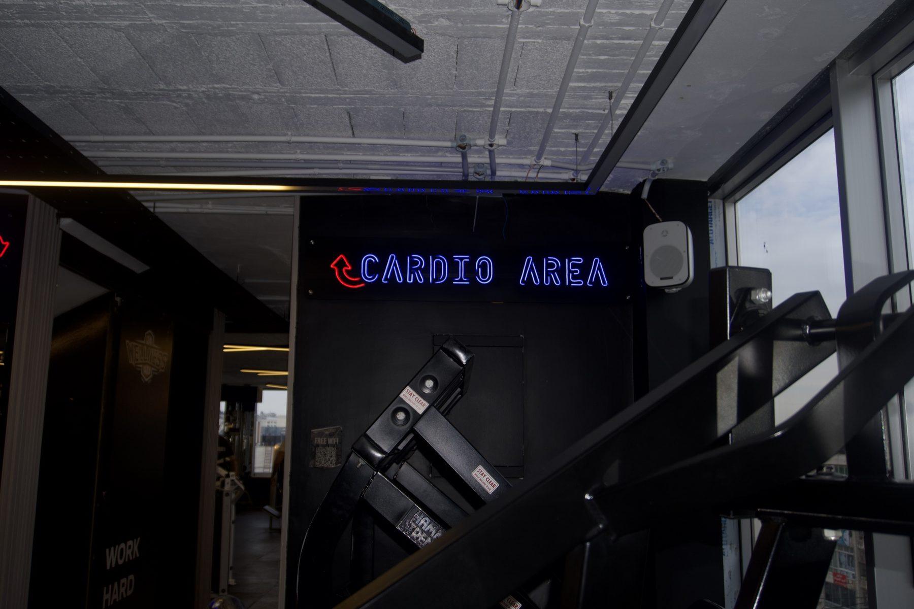 Blue neon area sign on a dark wall